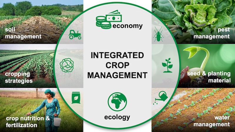 Integrated Crop Management Diagram