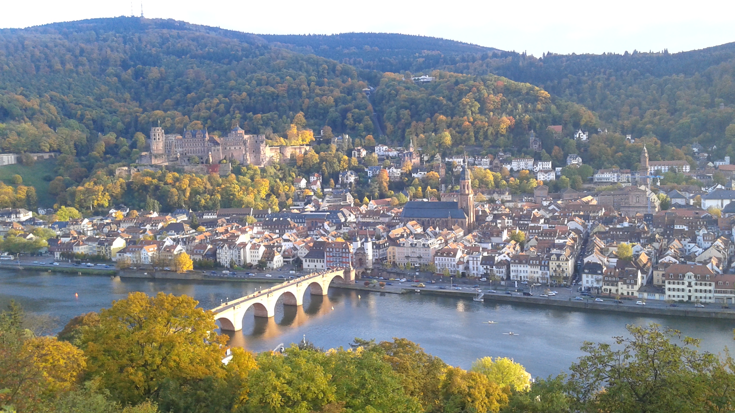 Heidelberg und Mannheim.