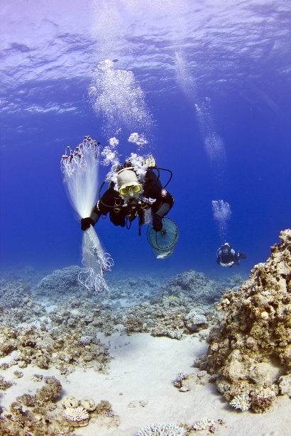 marc diving2.jpg