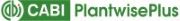 PlantwisePlus Logo_reduced_4.jpg